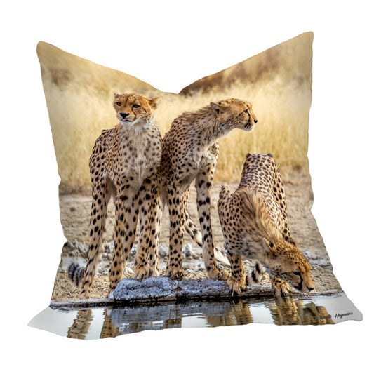 Cheetah Triplets Luxury Scatter By Annette Heymans