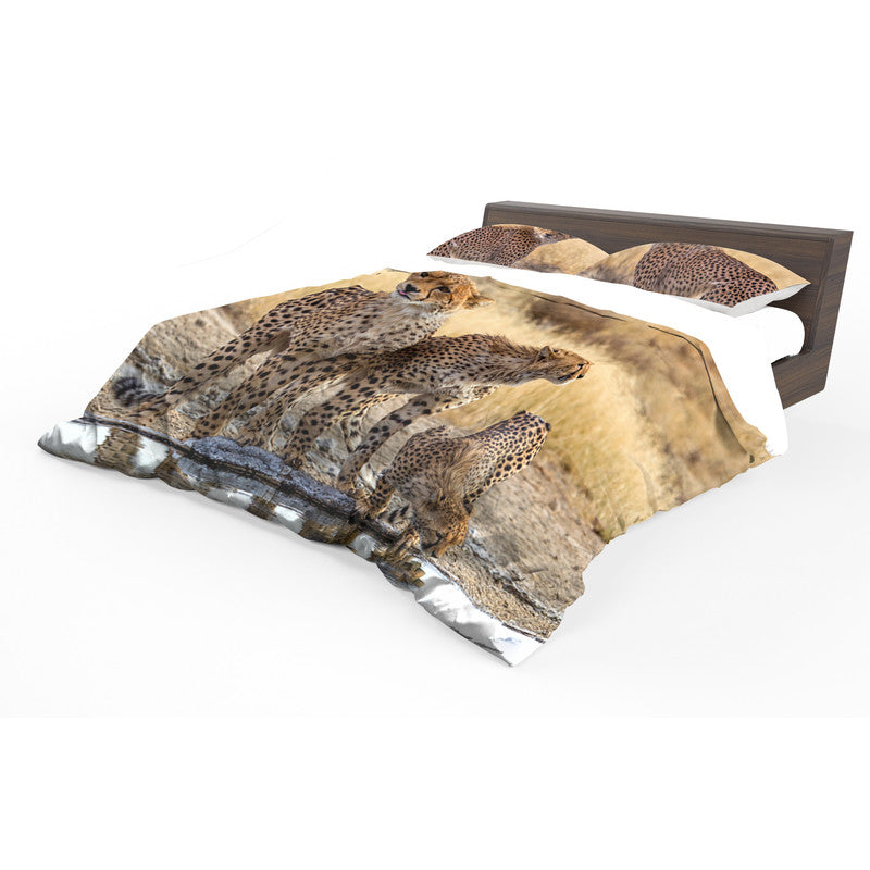 Cheetahs By Annette Heymans Duvet Cover Set
