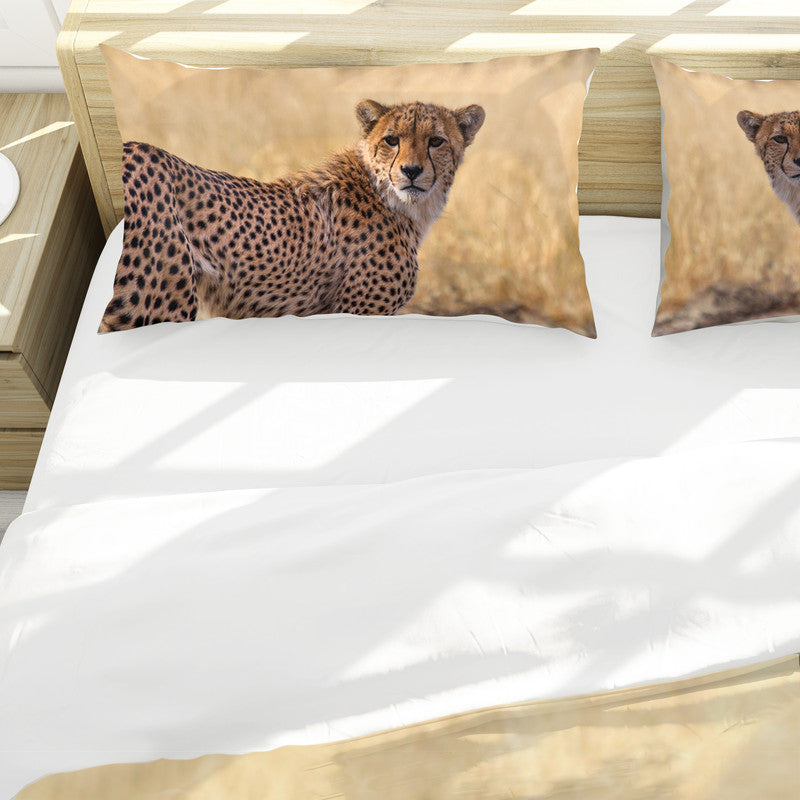 Cheetahs By Annette Heymans Duvet Cover Set