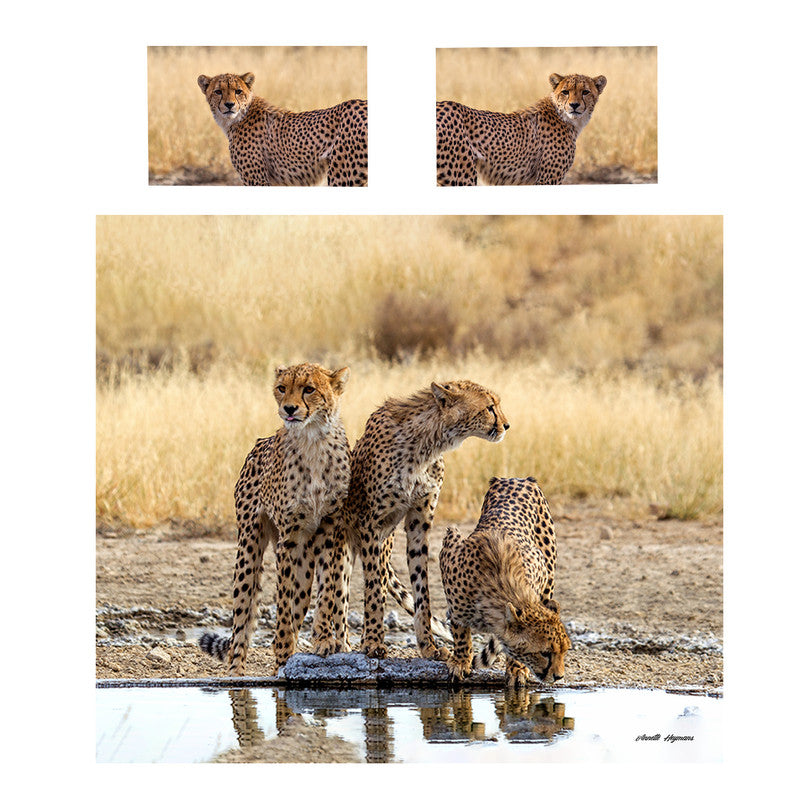 Cheetahs By Annette Heymans Duvet Cover Set