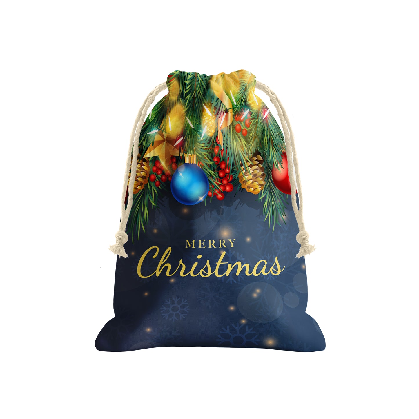 Christmas Lights Gift Bag (Set of 2)