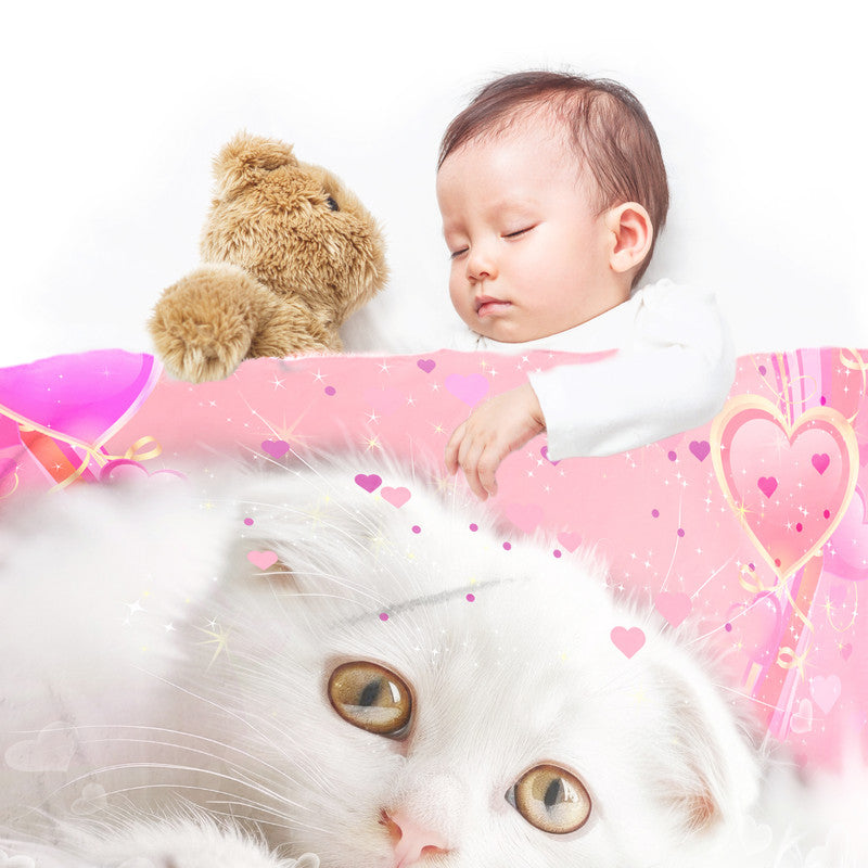 Cute Kitten Minky Blanket