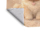Cute Fluffy Puppy Sitting Baby Fleece Blanket by Nathan Pieterse