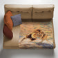Lion Light Weight Fleece Blanket by Delene Lambert