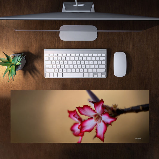Desert Rose Large Desk Pad by Annette Heymans
