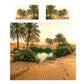 Desert Oasis Duvet Cover Set