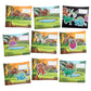 Dino Subject Savvy Book Bags Set of 9