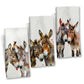 Donkey Love Dish Cloth (Set of 3)