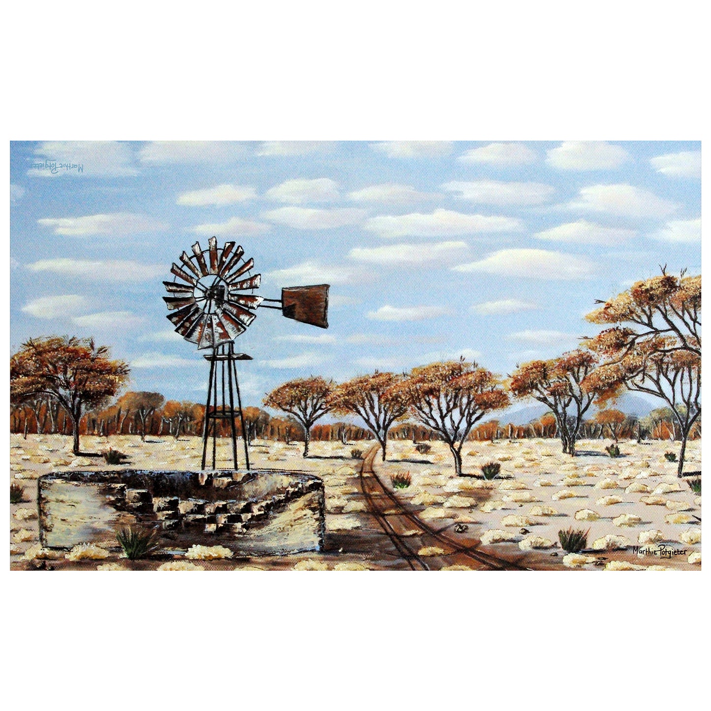 Dry Windmill Dam By Marthie Potgieter Rectangle Tablecloth