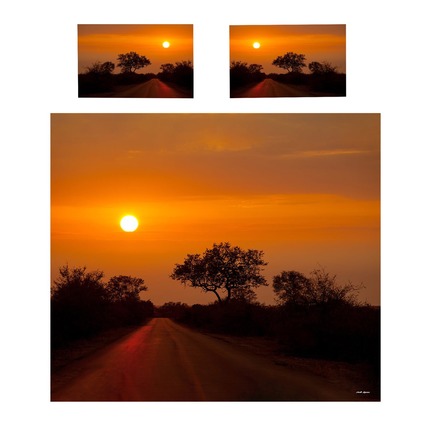 Dusk in the Kruger Duvet Cover Set by Annette Heymans