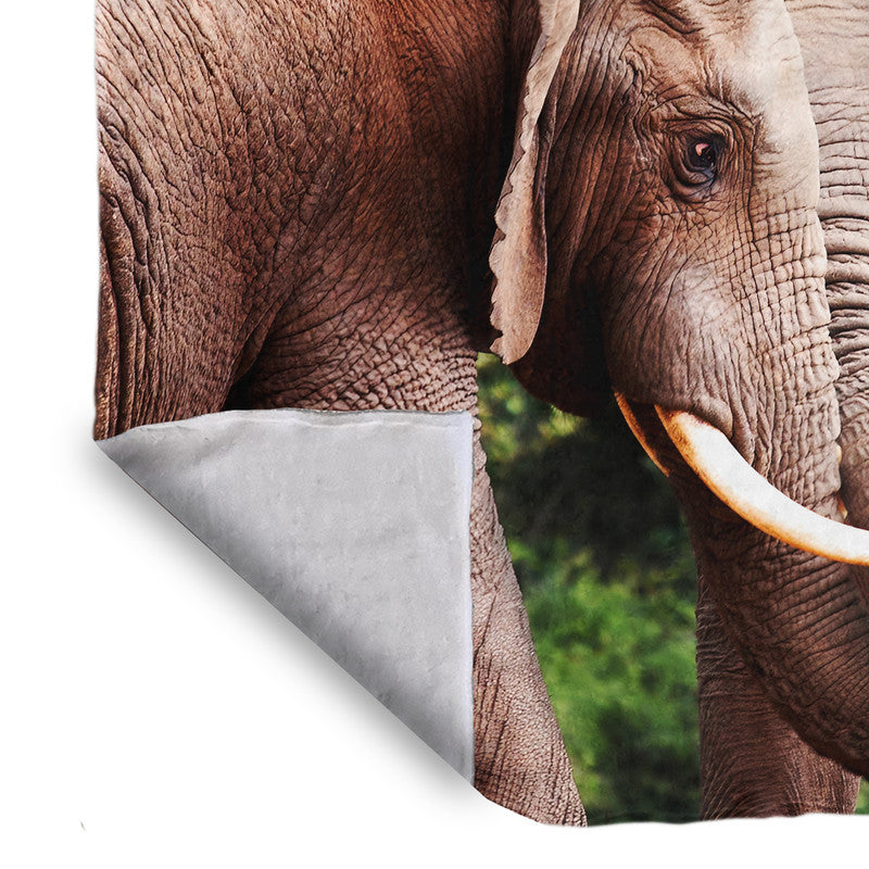 Elephant Bull Fight Light Weight Fleece Blanket By Fanie Heymans