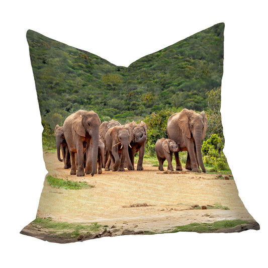 Elephant Family Luxury Scatter by Annette Heymans
