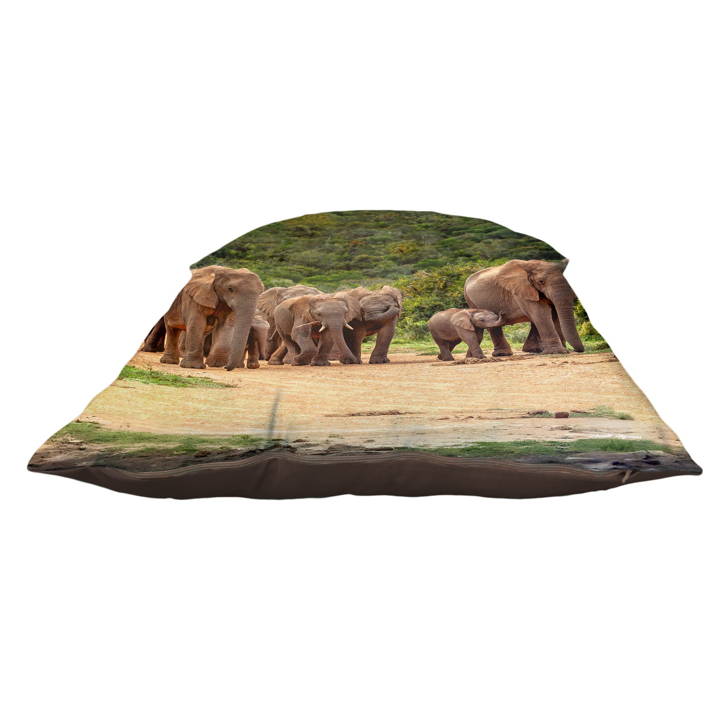 Elephant Family Luxury Scatter by Annette Heymans