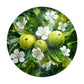 Emerald Bloom Round Tablecloth by Wikus Schalkwyk