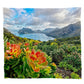 Fiery Floral Light Weight Fleece