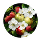 Fruity Harvest Round Tablecloth by Wikus Schalkwyk