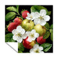 Fruity Harvest Square Tablecloth by Wikus Schalkwyk
