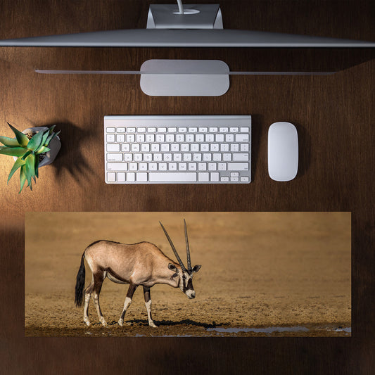 Gemsbok Oryx Desk Pad by Fanie Heymans