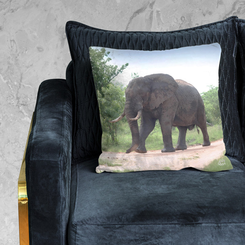 Giant Ellie Luxury Scatter by Ferdie Muller