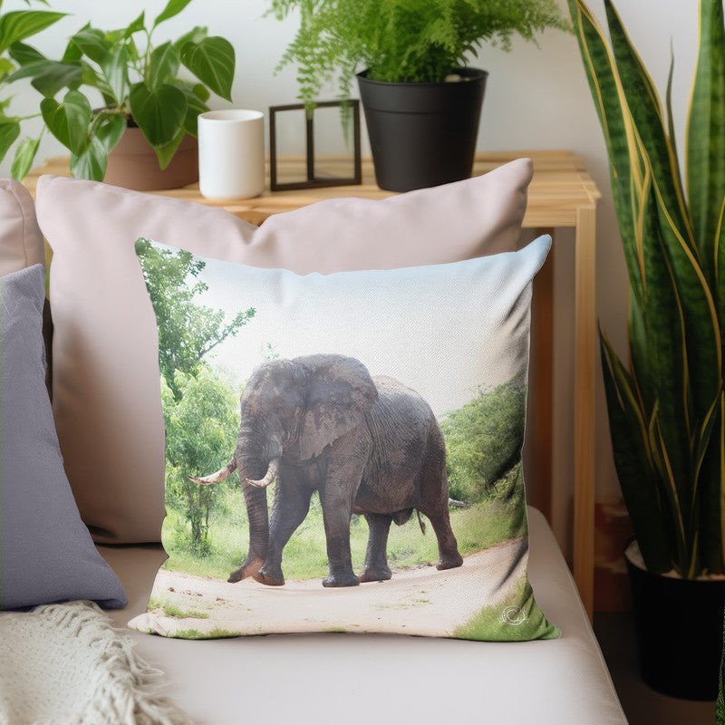 Giant Ellie Luxury Scatter by Ferdie Muller