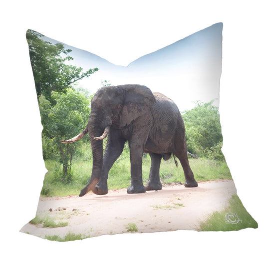Giant Ellie Luxury Scatter by Ferdie Muller