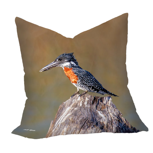 Giant Kingfisher Luxury Scatter by Annette Heymans