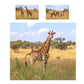 Giraffe Family Duvet Cover Set by Fanie Heymans