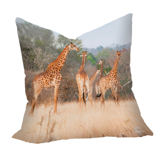 Giraffe Family Luxury Scatter by Ferdie Muller