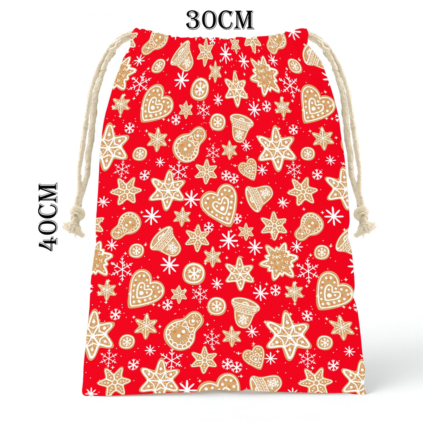 Gold and Red Christmas Gift Bag (Set of 2)