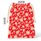Gold and Red Christmas Gift Bag (Set of 2)