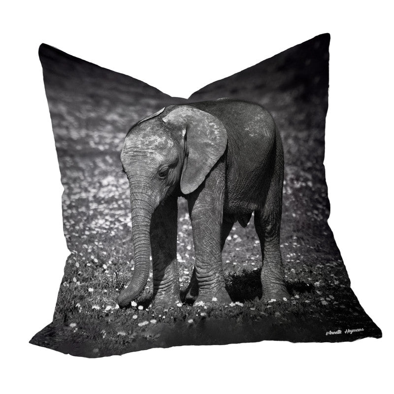 Grazing Ellie Luxury Scatter By Annette Heymans