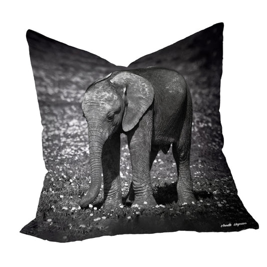 Grazing Ellie Luxury Scatter By Annette Heymans