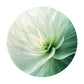 Green Leaves 2,3m Round Tablecloth