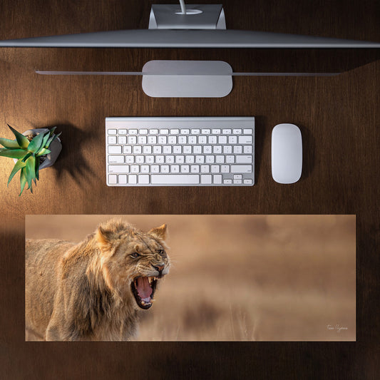 Growling Lion Panthera Leo Large Desk Pad By Fanie Heymans