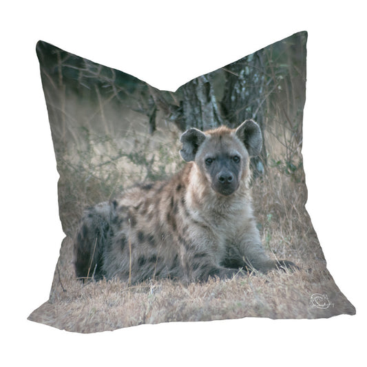 Happy Hyena Luxury Scatter by Ferdie Muller