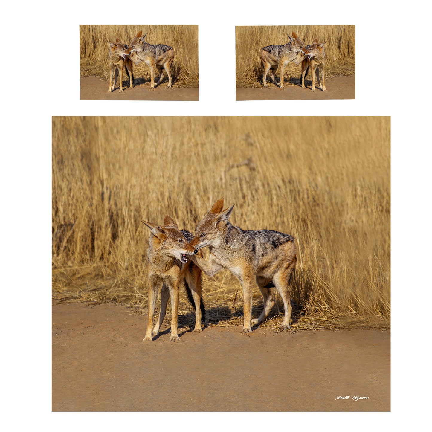 Hey friend Duvet Cover Set by Annette Heymans