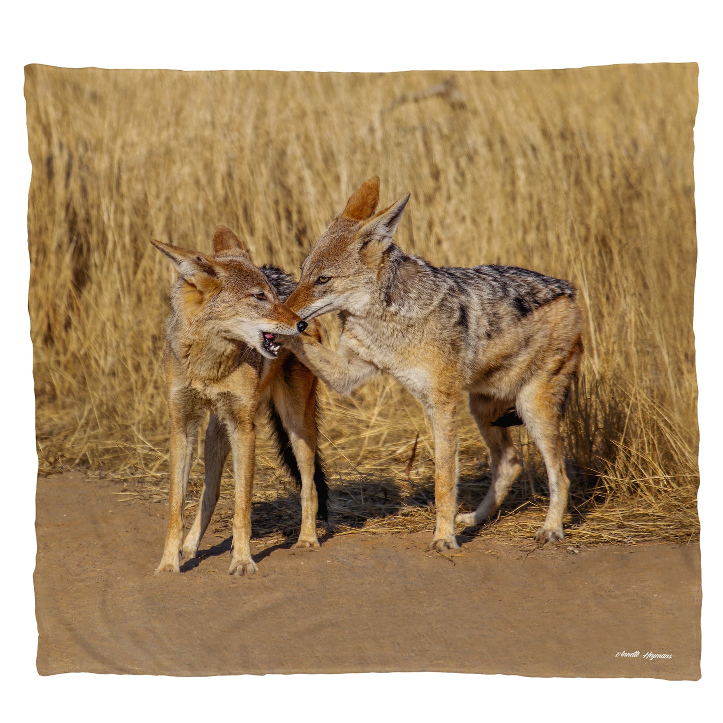 Hey friend Light Weight Fleece Blanket by Annette Heymans