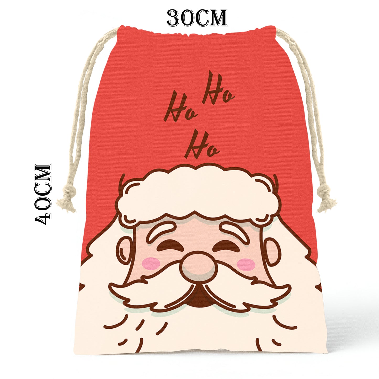 Ho Ho Ho Gift Bag (Set of 2)