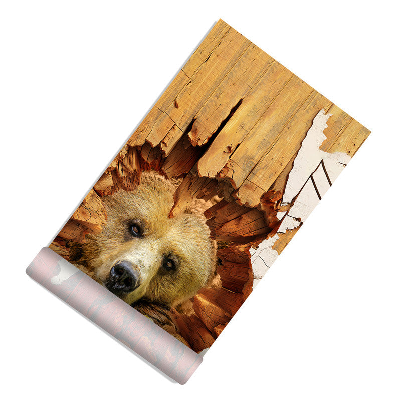 Hungry Bear Door Decoupage