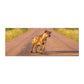 Hyena Mom Desk Pad by Annette Heymans