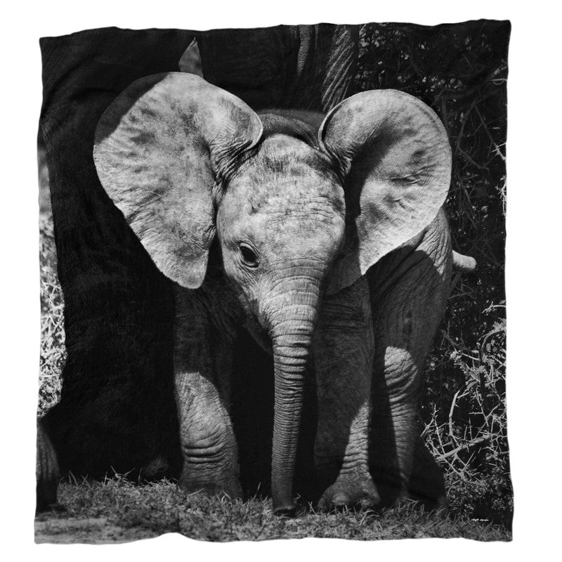 I Will Come for You Light Weigt Fleece Blanket By Anette Heymans