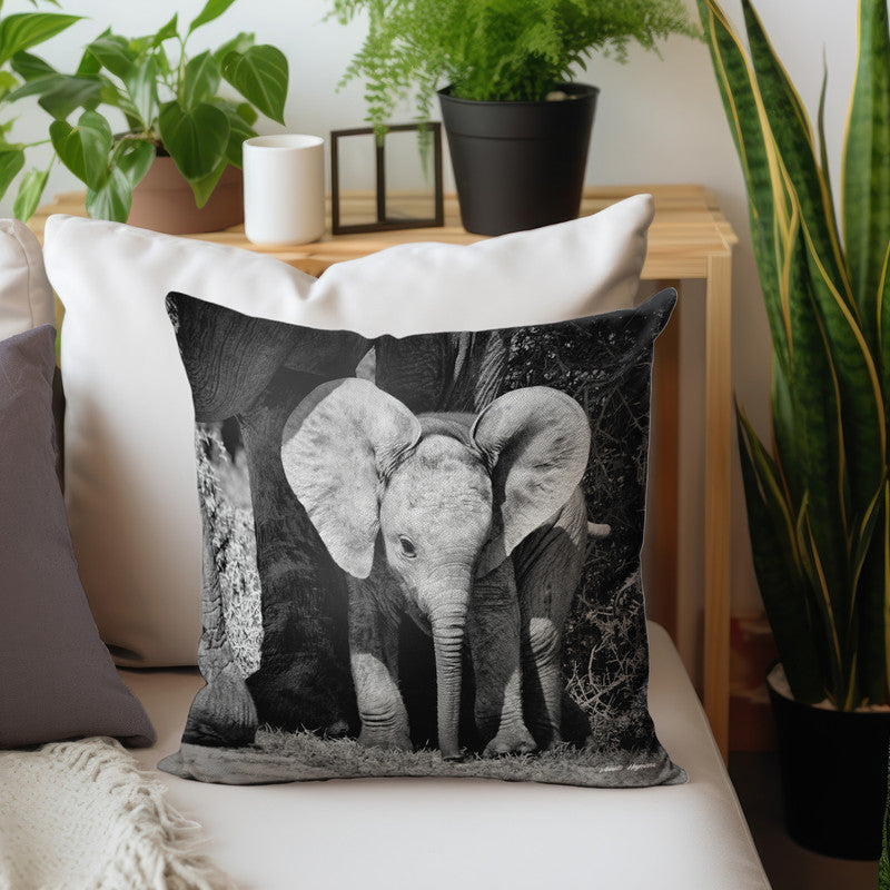 I Will Come for You Luxury Scatter By Annette Heymans