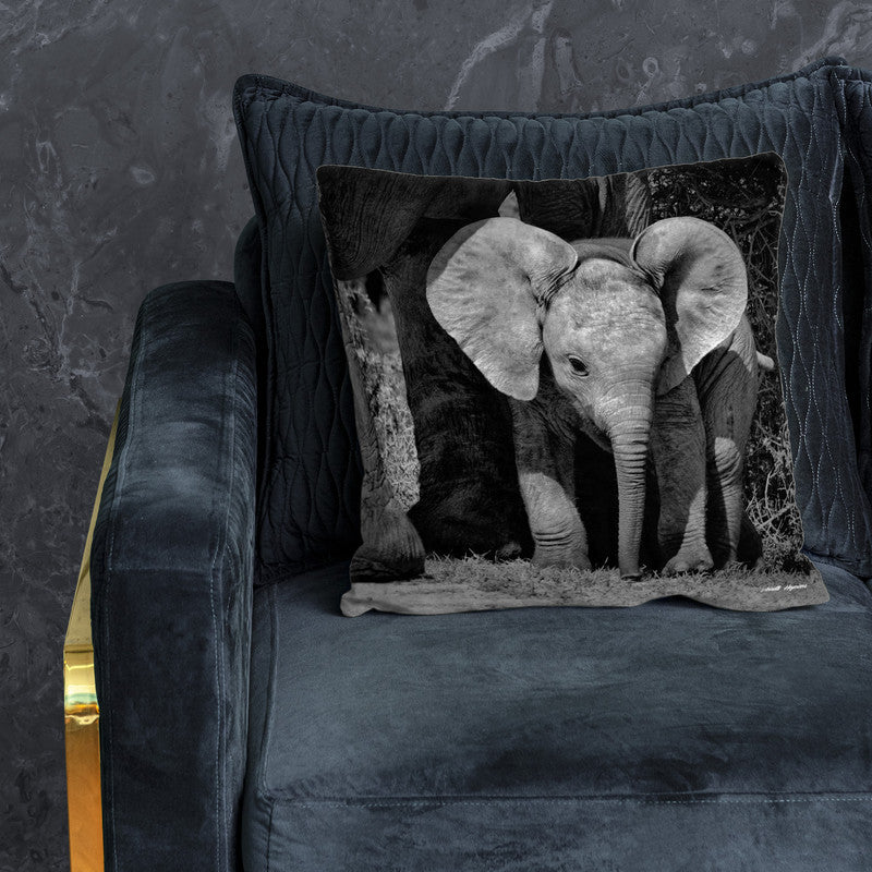 I Will Come for You Luxury Scatter By Annette Heymans