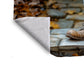 I LIed ! Toddler Fleece Blanket