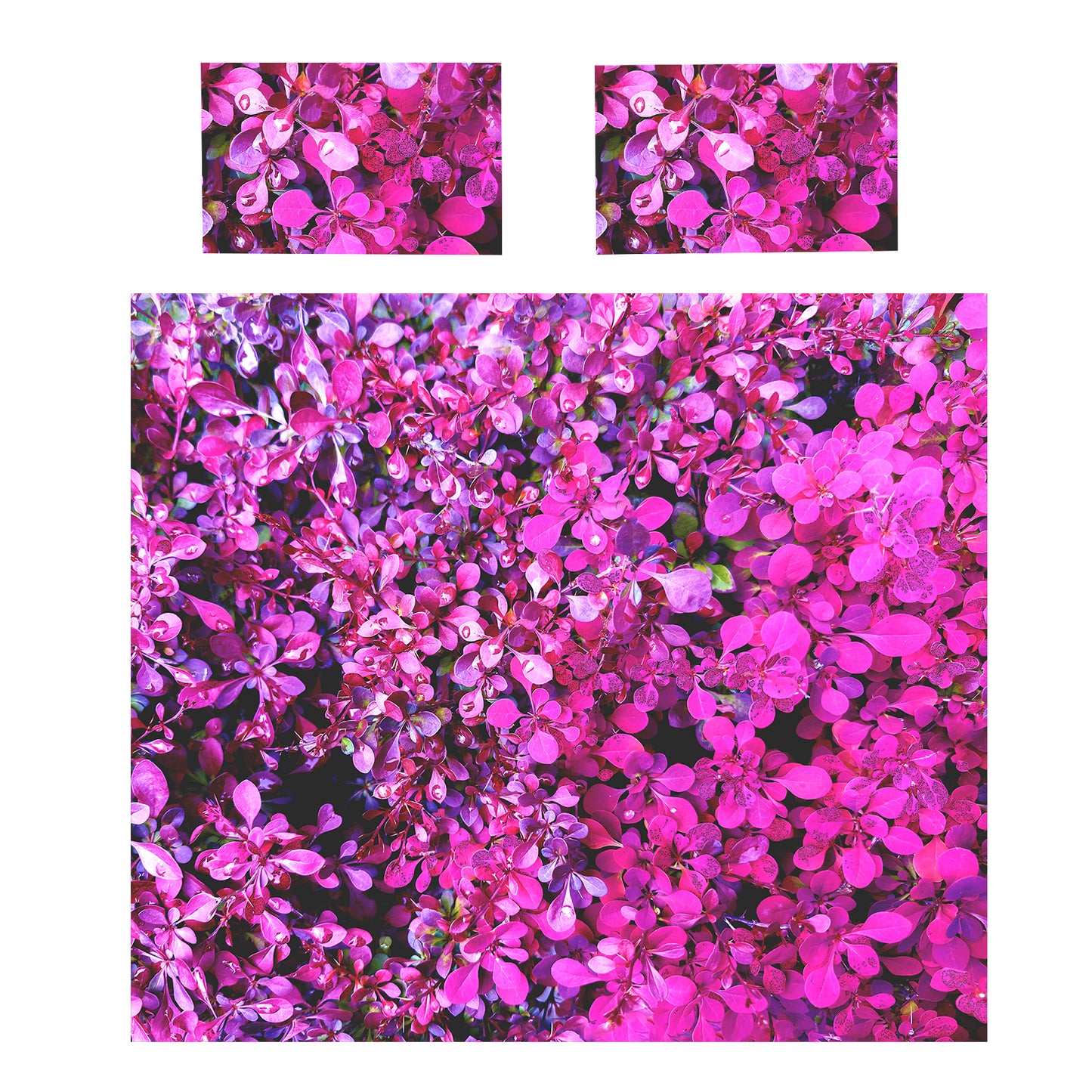 Infinite Purple Bloom Duvet Cover Set