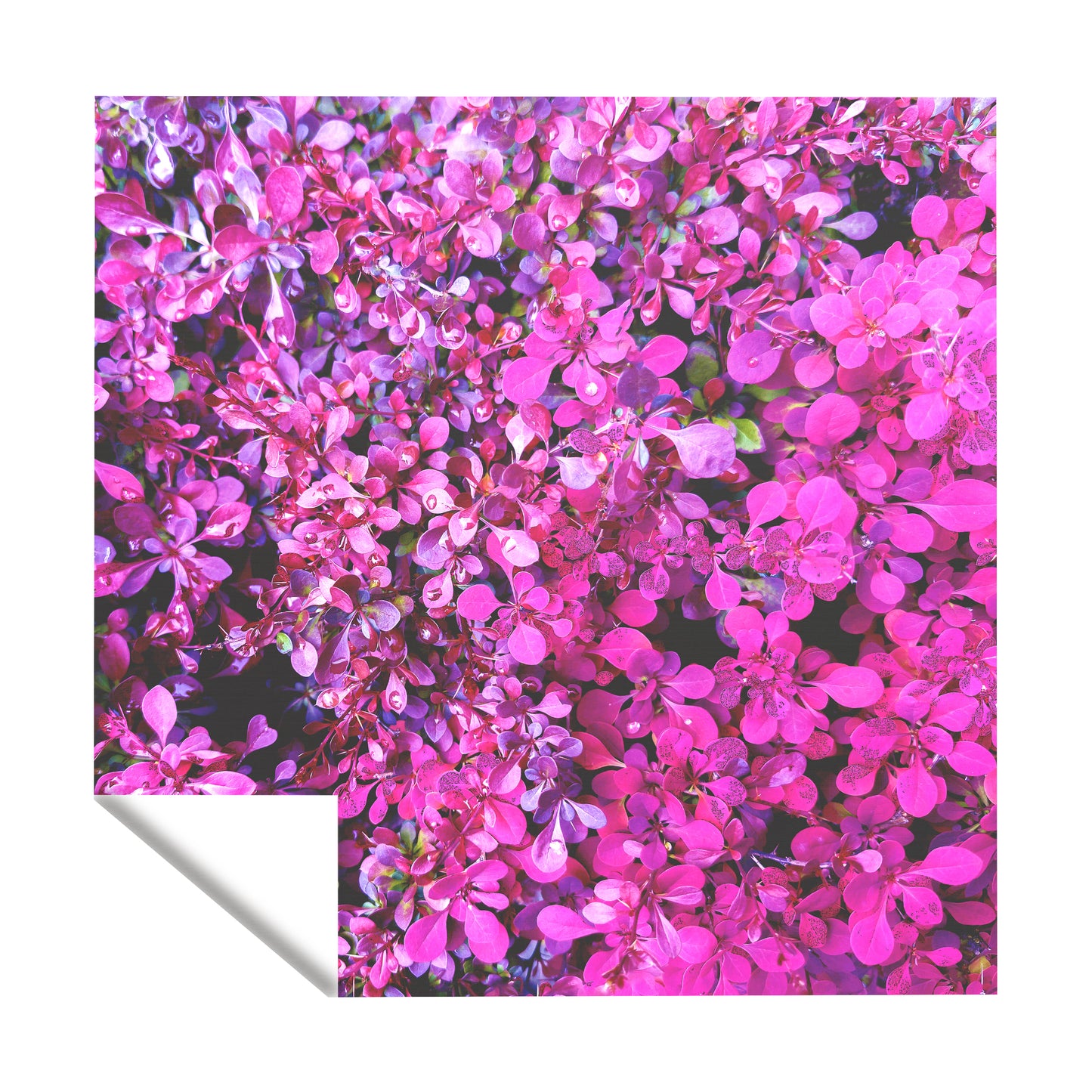 Infinite Purple Bloom Square Tablecloth