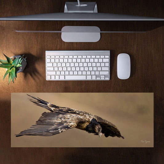 Juvenile Bearded Vulture Large Desk Pad By Fanie Heymans