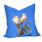 Juvenile Black Shoulder Kites Luxury Scatter by Annette Heymans