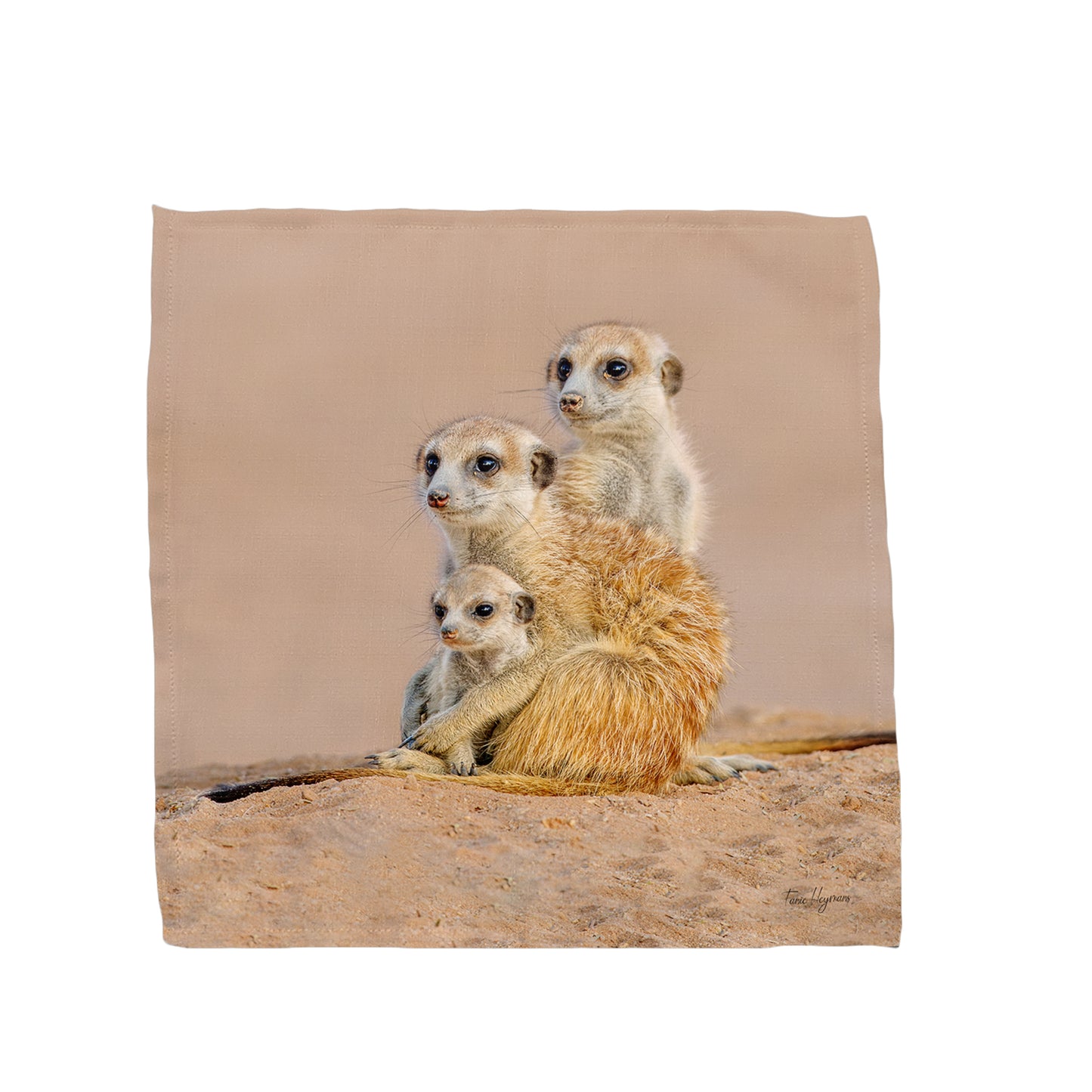 Kalahari Meerkat Family Napkins by Fanie Heymans