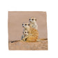 Kalahari Meerkat Family Napkins by Fanie Heymans